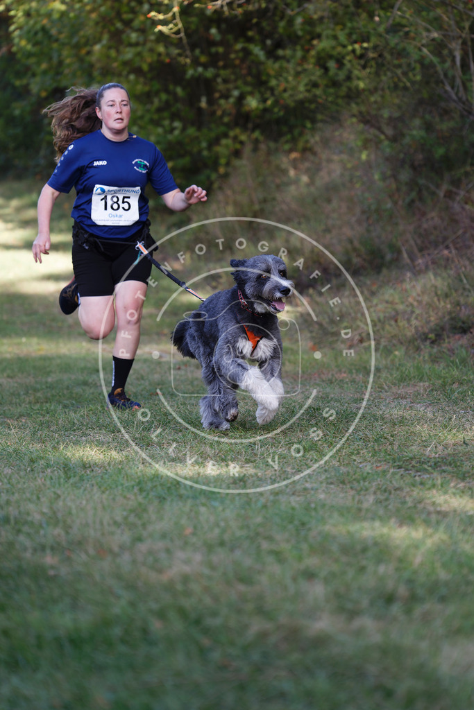 0L8A5539 | Hundefotografie, Tierfotograf, Pfotenfotografie, Fotoshooting Hund, Hunde Portrait, Hundesport, Hundeportraits, Heideshooting, Hunde, Sportfotograf, Hundefotograf, Turnierhundsport, THS,  - Realisiert mit Pictrs.com