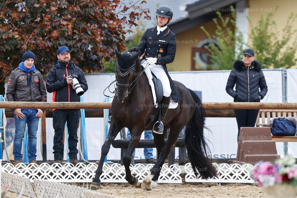 12-229-DRESSUR  S___  -StoibPH-5334 | working equitationturnier fotograf videograf stoibphotography marixx film working equitation deutschland reitsport turnierfotografie eventfotografie equestrian events