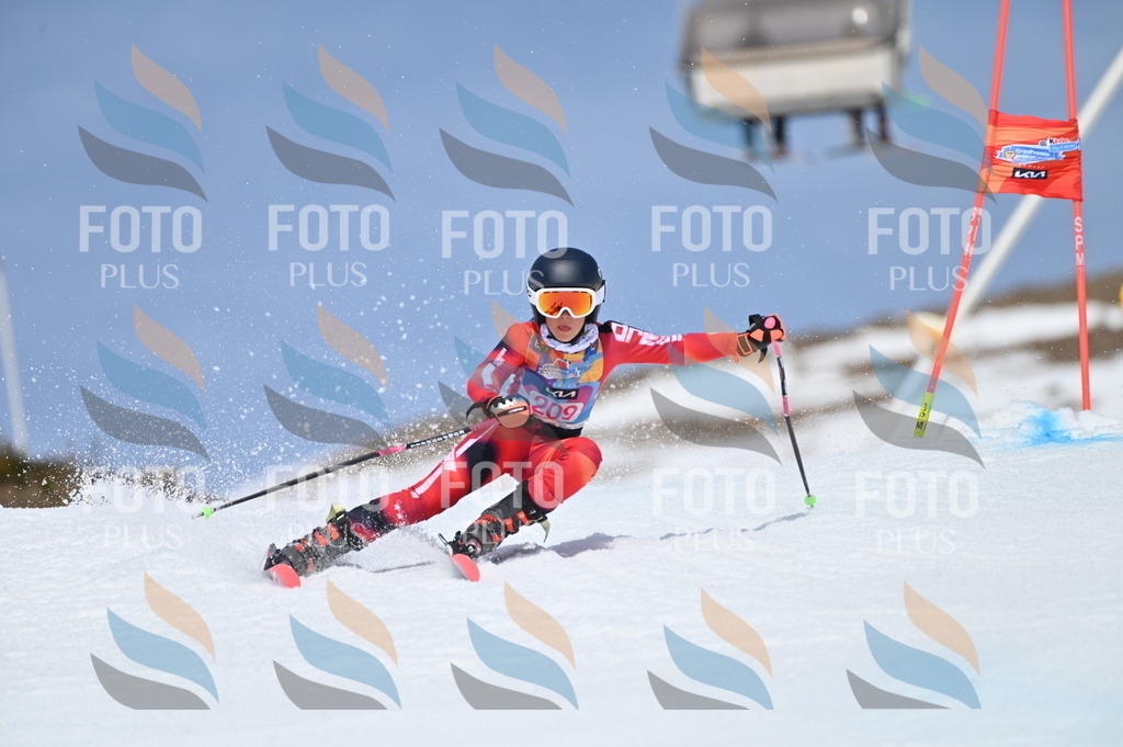 BGV_1119 | holidayphoto