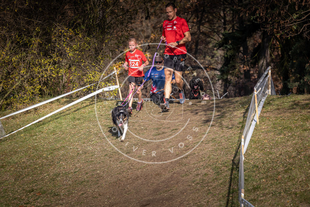 CaniXpix_0L8A8705 | Hundefotografie, Tierfotograf, Pfotenfotografie, Fotoshooting Hund, Hunde Portrait, Hundesport, Hundeportraits, Heideshooting, Hunde, Sportfotograf, Hundefotograf, Turnierhundsport, THS,  - Realisiert mit Pictrs.com