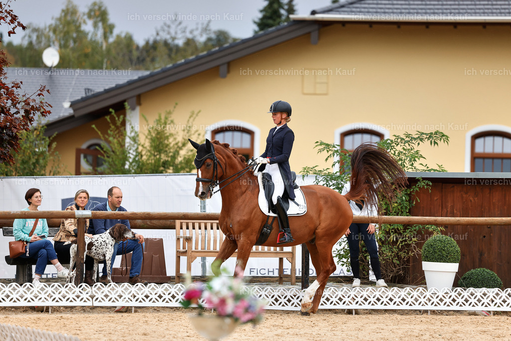 11-238-Dressur S___-StoibPH-977 | working equitationturnier fotograf videograf stoibphotography marixx film working equitation deutschland reitsport turnierfotografie eventfotografie equestrian events