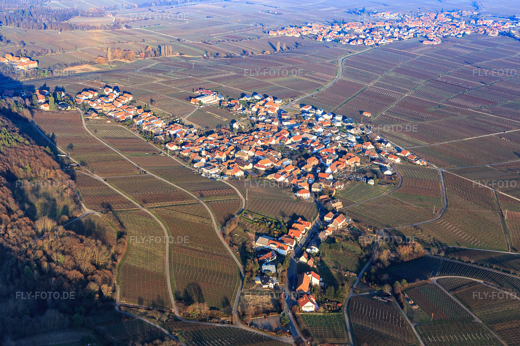 Luftbild: Winzerdorf im Winter von Südwesten in Weyher in der Pfalz im Bundesland Rheinland-Pfalz in Deutschland. Foto: IMG_112535.jpg vom 21.01.2019 durch Werner Riehm/FLY-FOTO.de