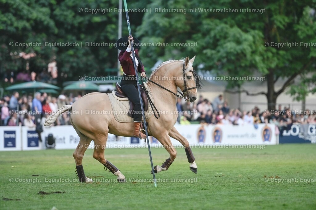 20230526_Pferdenacht_0691 | equistock
