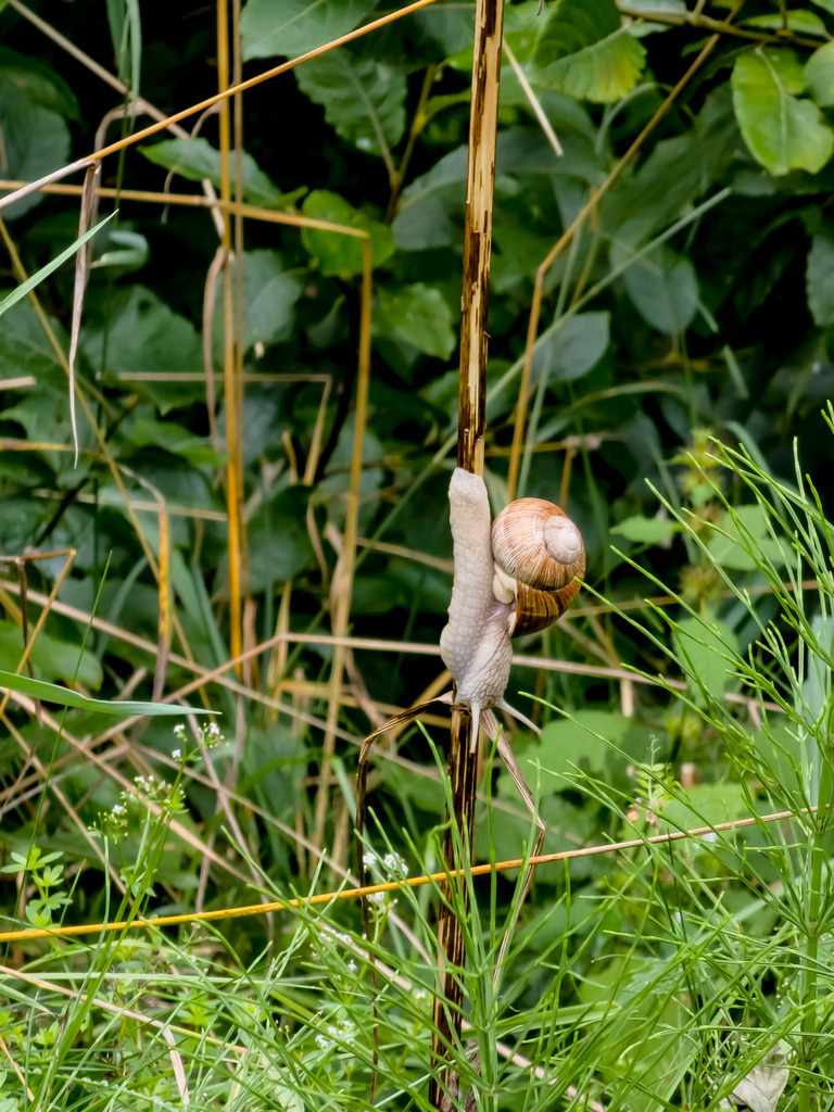 PSX_20230831_214128 | mtkfoto_ - Realisiert mit Pictrs.com