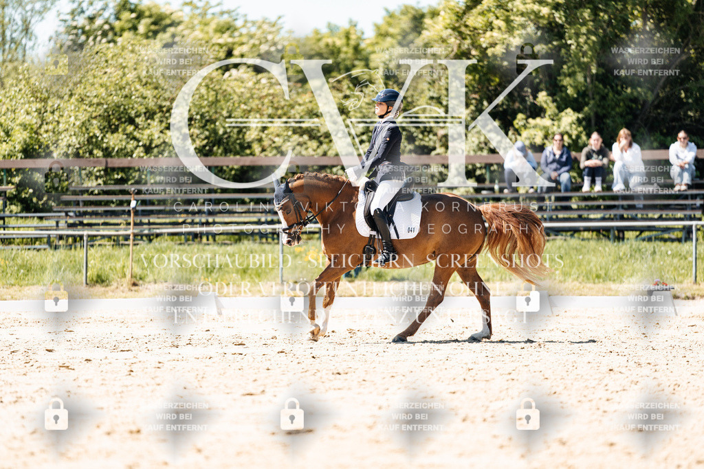 CK905678 | Turnierfotografie Pferdefotografie Trier Rheinland-Pfalz Pferdesport Reitsport Tierfotografie Sportfotografie Pferdevideo Pferdevideografie Equestrianvideography equestrianphotography  - Realisiert mit Pictrs.com