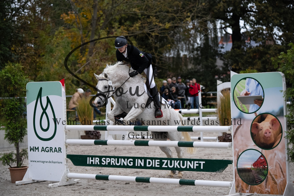 A7V08865 | Turnier/Reitfotograf
