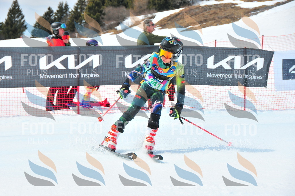 DSC_3106 | holidayphoto