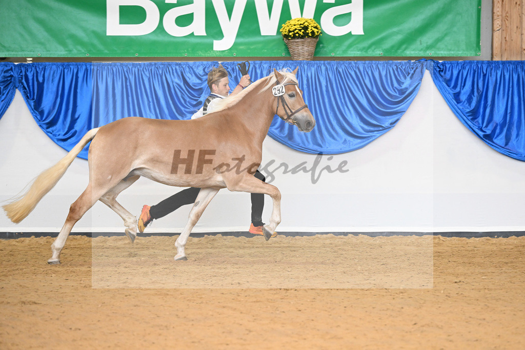 Kat-Nr. 292 Ophelia_Koelbl_54223214 | hf-fotografie - Realisiert mit Pictrs.com