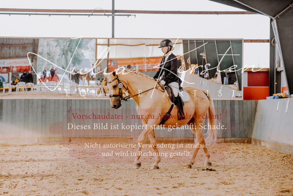 DSC_7658 | Pferde- und Turnierfotografie in Westsachsen. Pferdeportraits, Auftragszeichnungen und intuitive Kunst.