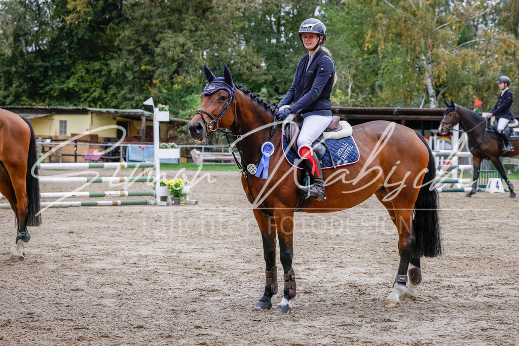 20251012-_3LI4194 | Tierfotografie Pferde, Hunde, Katzen, Haustiere.
Turnierfotografie Reitturniere, Reiten, Springreiten, Dressur in Hanau, dem Main-Kinzig-Kreis und dem Rhein-Main- Gebiet um Frankfurt