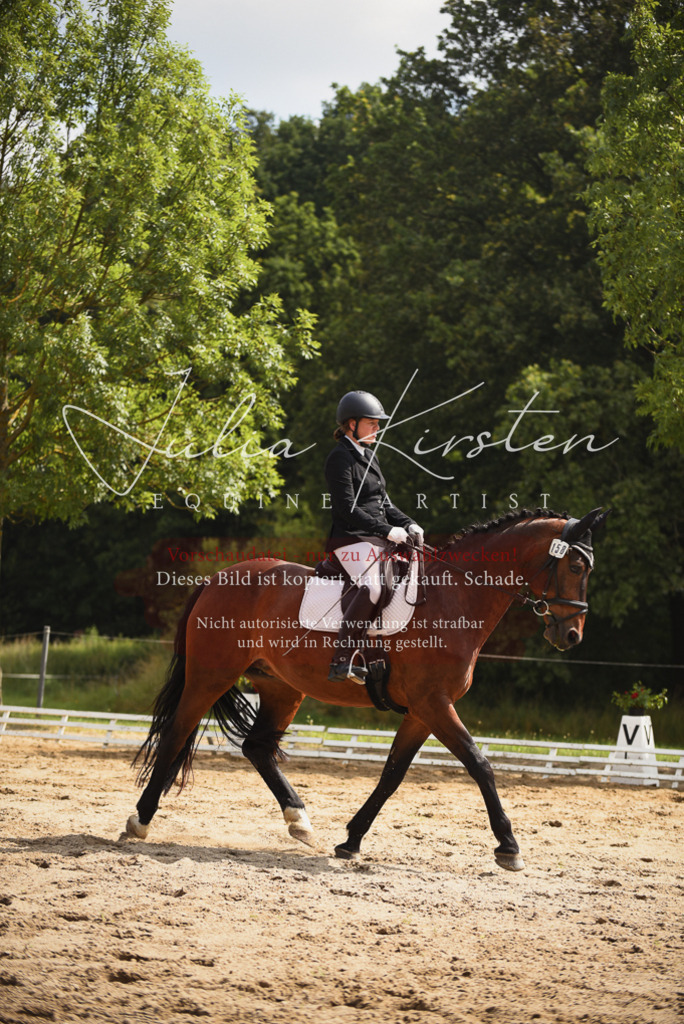DSC_0771 | Pferde- und Turnierfotografie in Westsachsen. Pferdeportraits, Auftragszeichnungen und intuitive Kunst.
