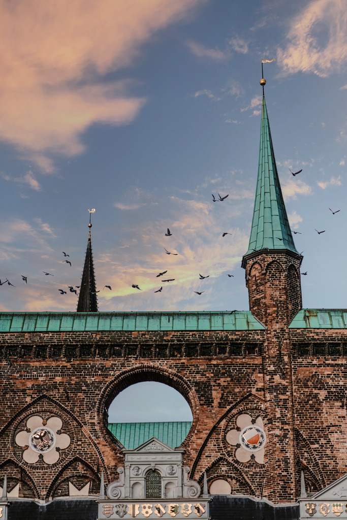 The Layhead_02 | Du suchst natürliche und atmosphärische Prints oder Leinwanddrucke? In diesem Shop gibt es alles, nur kein Mainstream. - Realisiert mit Pictrs.com