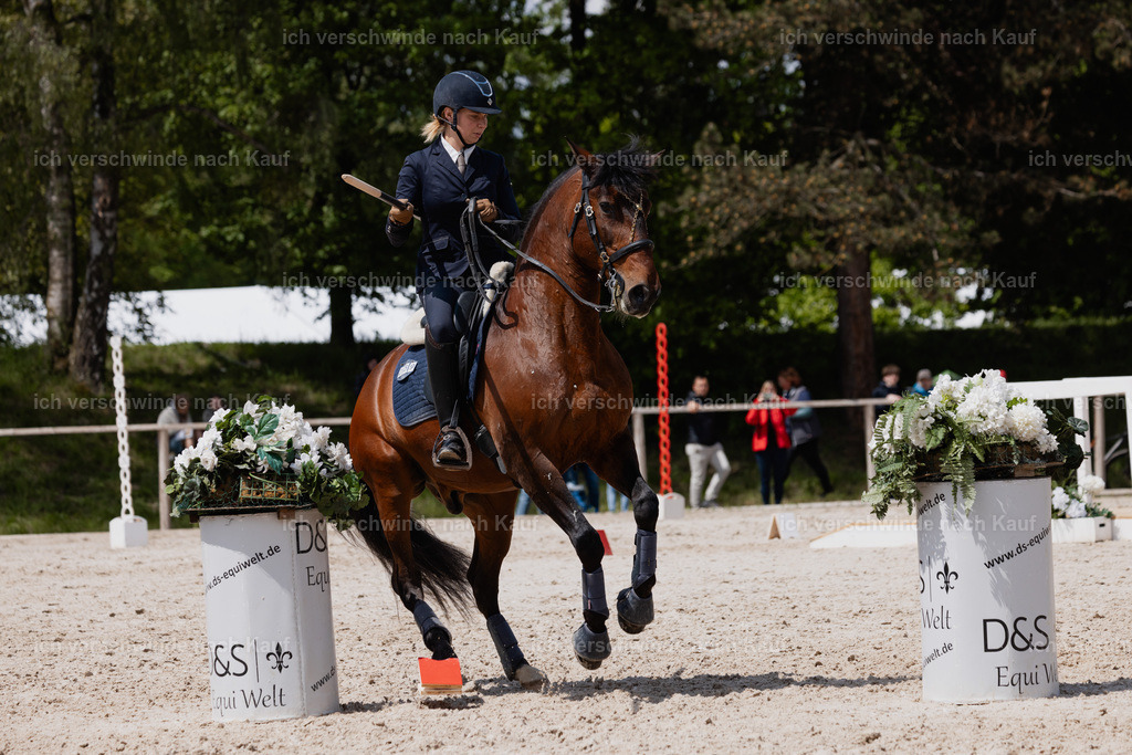 PI26_SP_StoibphotographyC2_C3292.CR3 | working equitationturnier fotograf videograf stoibphotography marixx film working equitation deutschland reitsport turnierfotografie eventfotografie equestrian events