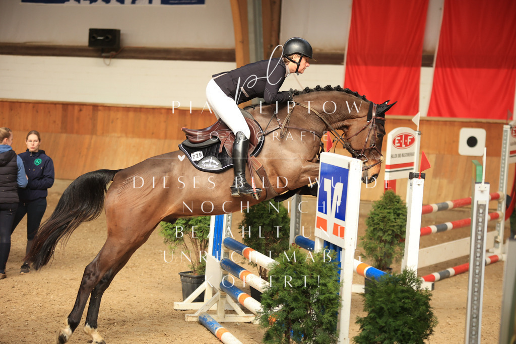 IMGT0512 | pl-fotografie