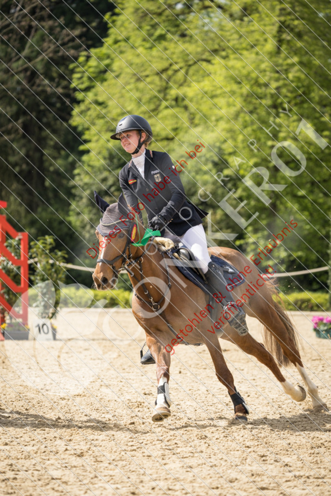 CON_0864 | Sport-, Event- und Tierfotos in Profiqualität. Einfach auswählen, bestellen und herunterladen. Dein Moment – perfekt festgehalten.