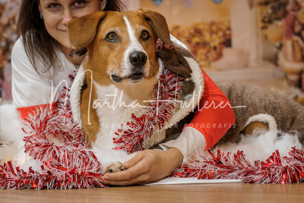 Weihnachts Minis  | Emotionale Mensch und Tier Fotografin. Aus Gösing am Wagram, zwischen Tulln und Krems an der Donau. 