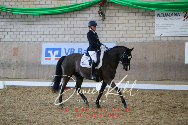 IMG_2668 | Turnierfotos kaufen im Webshop von Daniel Kuhl Photography – entdecke professionelle Reitsportfotos aus Turnieren & Events. Hochwertige Turnierbilder online bestellen & sichern. Jetzt Fotos von Reitsportturnieren kaufen!