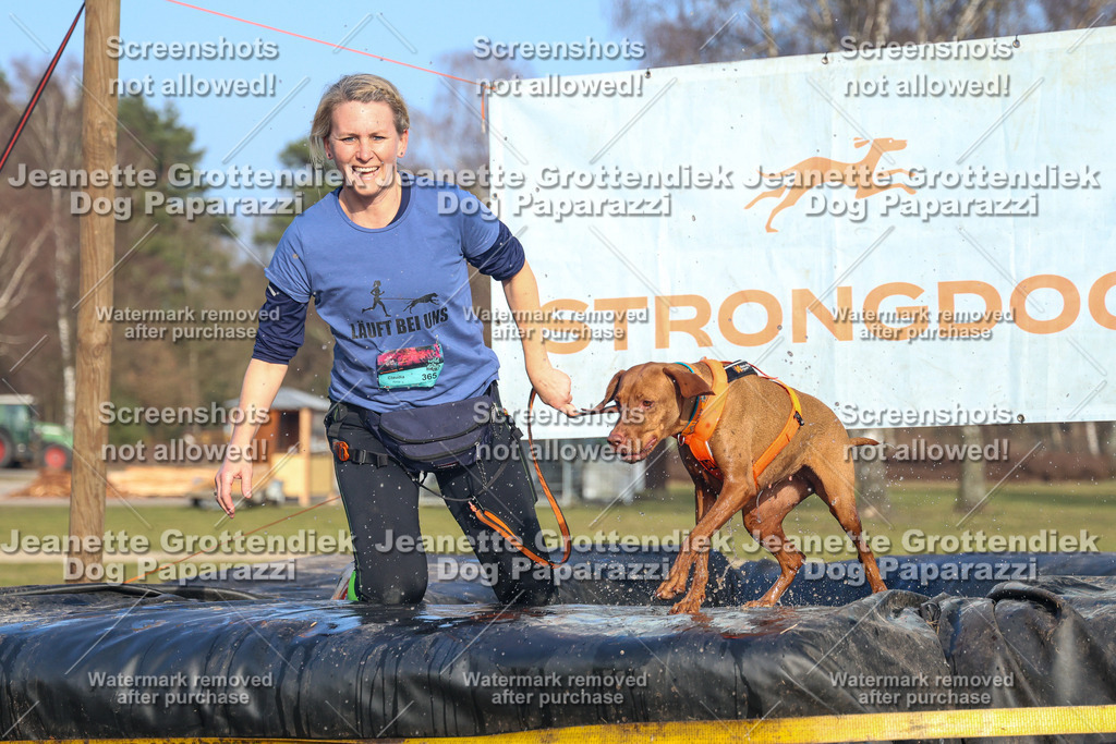Dog Paparazzi - Strongdog North Mrz26-3621 | Dog Paparazzi Jeanette Grottendiek Fotografie & Videografie - Realisiert mit Pictrs.com