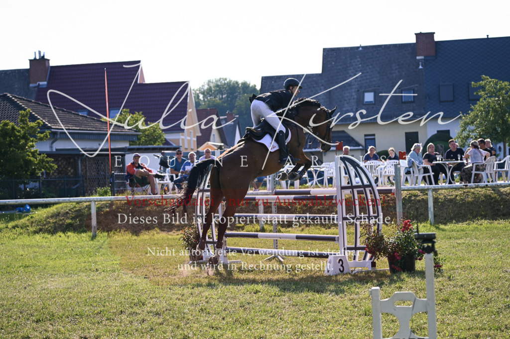 DSC_1694 | Pferde- und Turnierfotografie in Westsachsen. Pferdeportraits, Auftragszeichnungen und intuitive Kunst.