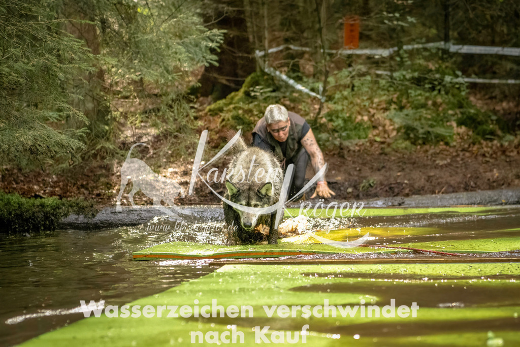 1406_ZZ90979-Bearbeitet | kk-dogfotos
