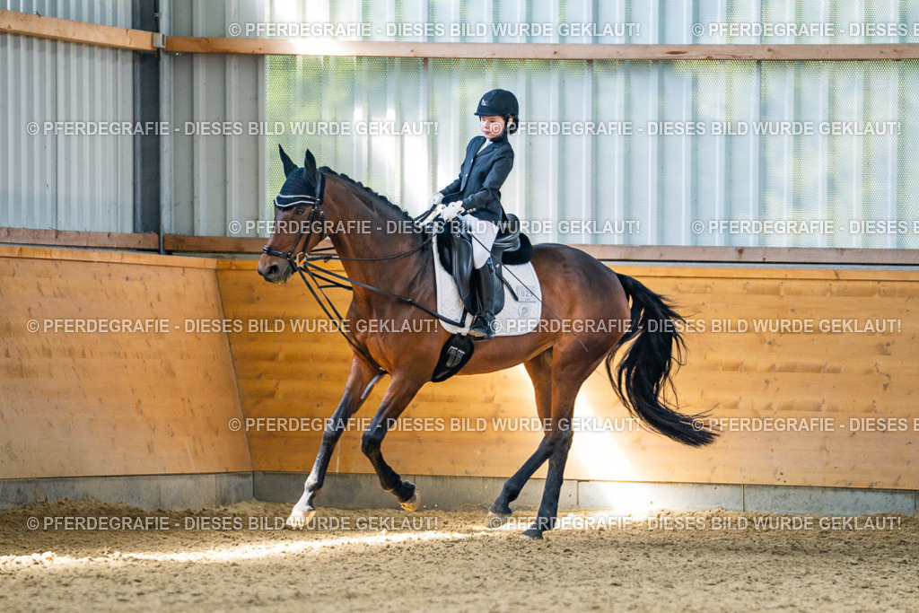 DSC02591 | Pferdegrafie