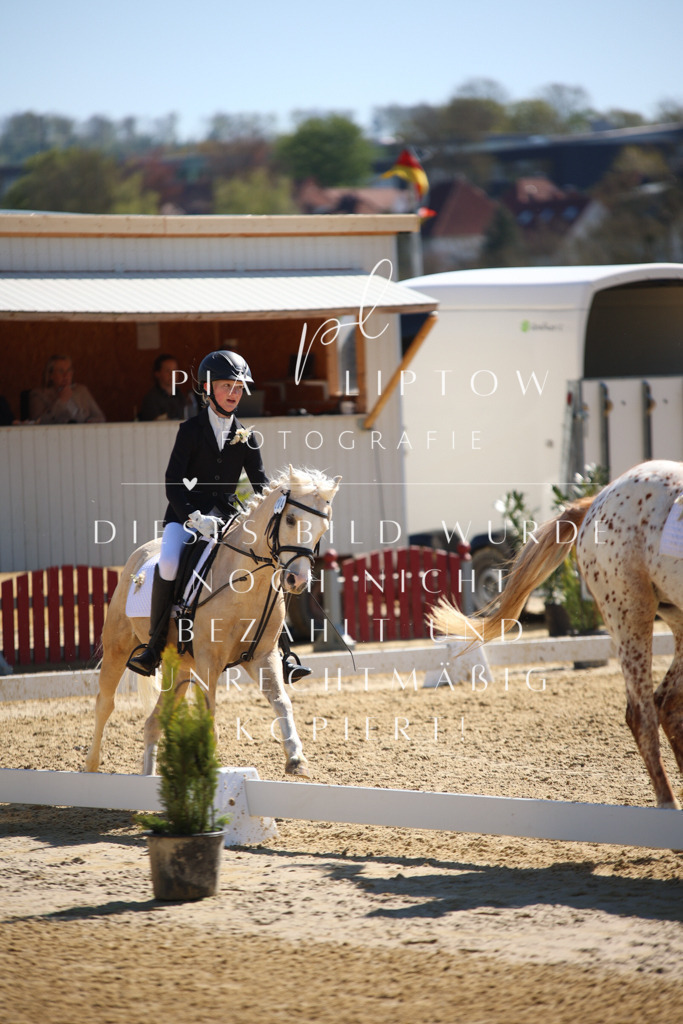 IMGT0654 | pl-fotografie