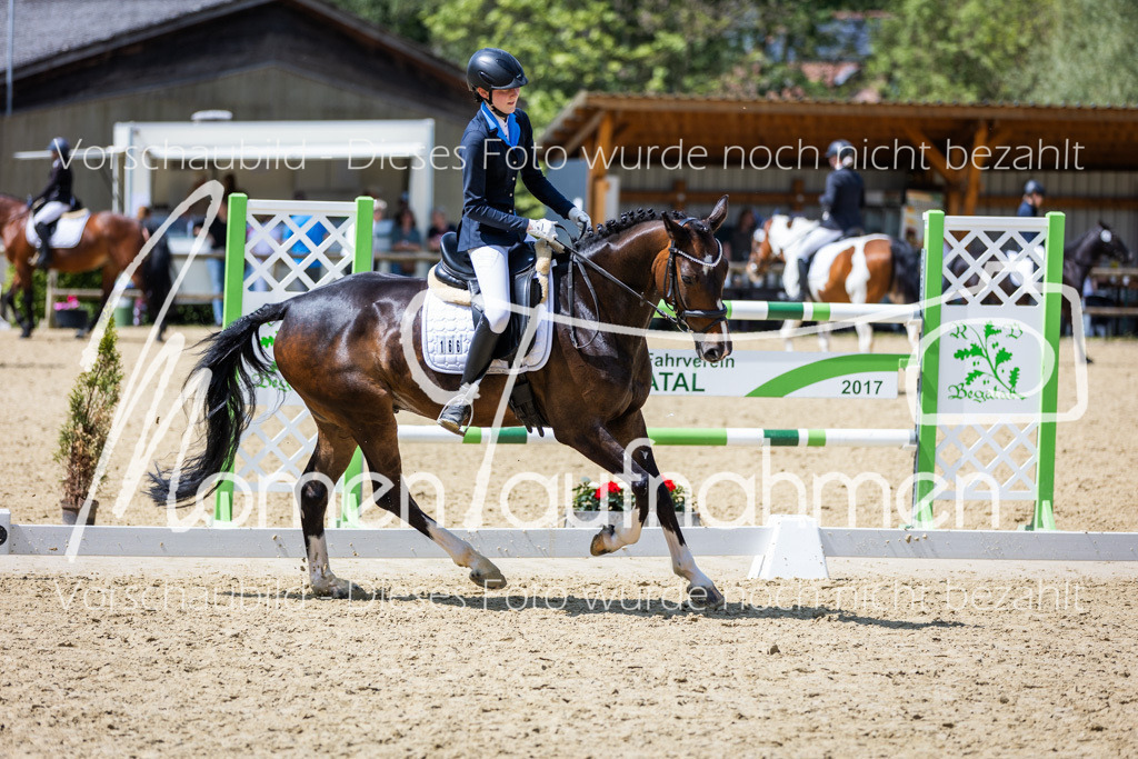 Donop24-EDre-020 | MomenTaufnahmen Pferdesportfotos