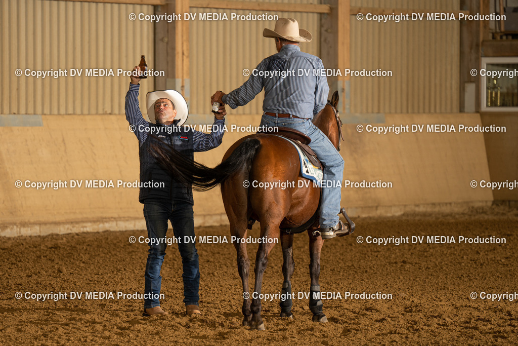 LAU00102 | dv-media-shop - Realisiert mit Pictrs.com