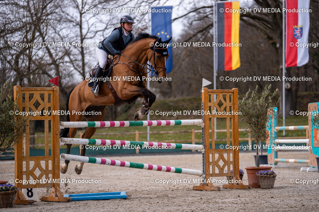 Kranichstein Tag 2-2223 | dv-media-shop - Realisiert mit Pictrs.com