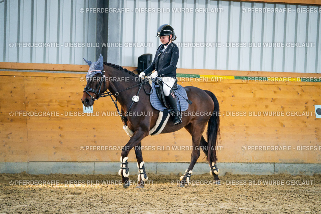 DSC00842 | Pferdegrafie