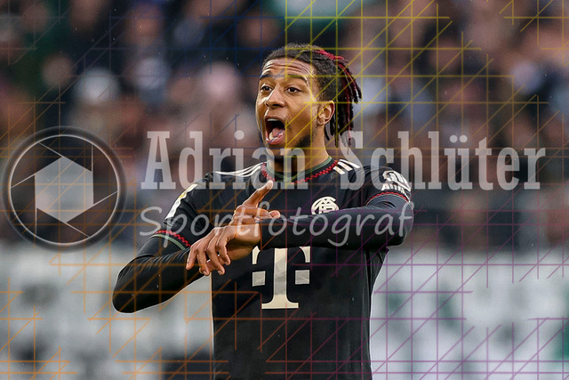 Borussia Mönchengladbach vs FC Bayern München - Bundesliga  | Mönchengladbach, Deutschland, 25.10.25:   Michael Olise (FC Bayern München) gestikuliert, Gestik waehrend des Spiels der Bundesliga zwischen Borussia Mönchengladbach vs FC Bayern München im Stadion im Borussia Park(Foto von Brauer-Fotoagentur / Adrian Schlueter)