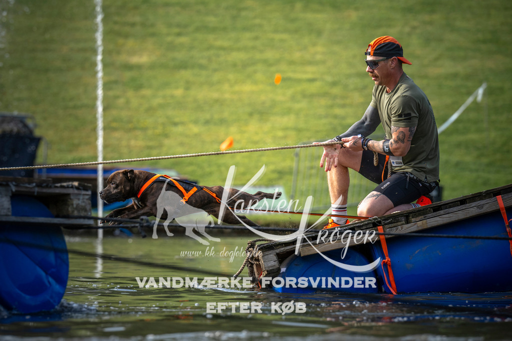 _ZZ933990704 | kk-dogfotos