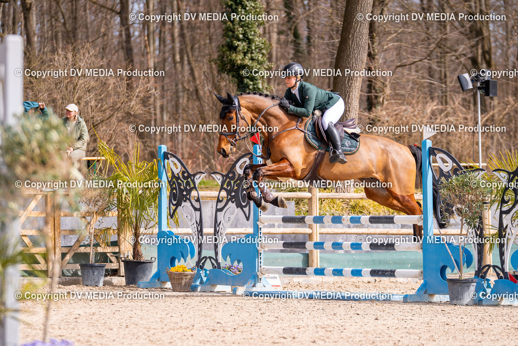 Kranichstein Tag 1-598 | dv-media-shop - Realisiert mit Pictrs.com