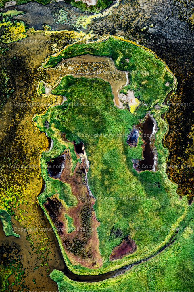 Sylt_Rantum_Rantumbecken_Salzwiesen_ELS_98053130825 | SYLT 13.08.2025 Grasflächen- Strukturen einer Feld- und Wiesen- Landschaft " Rantumbecken " in Sylt Nordsee - Insel im Bundesland Schleswig-Holstein, Deutschland. // Grass area structures of a salt marsh landscape " Rantumbecken " in Sylt North Sea Island in the state Schleswig-Holstein, Germany. Foto: Martin Elsen