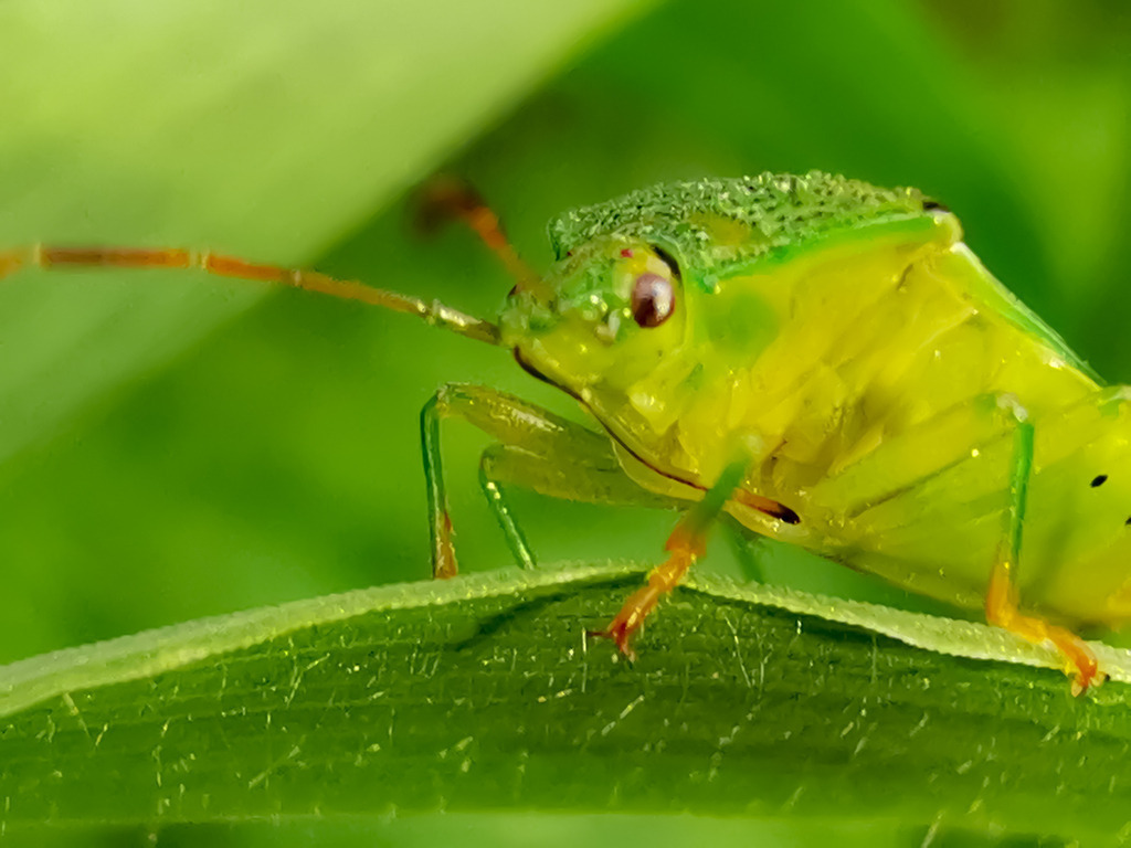 PSX_20230526_232456 | mtkfoto_ - Realisiert mit Pictrs.com