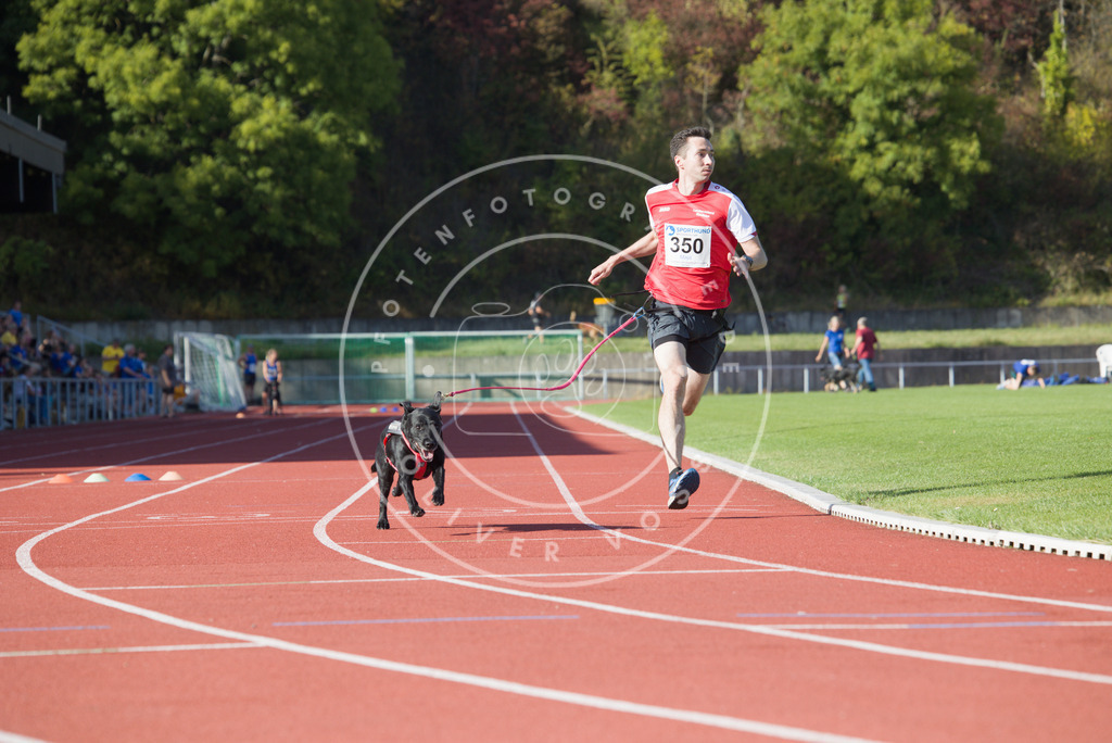 0L8A9600 | Hundefotografie, Tierfotograf, Pfotenfotografie, Fotoshooting Hund, Hunde Portrait, Hundesport, Hundeportraits, Heideshooting, Hunde, Sportfotograf, Hundefotograf, Turnierhundsport, THS,  - Realisiert mit Pictrs.com