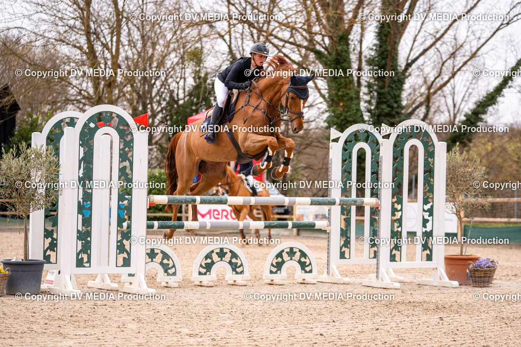 Kranichstein Tag 2-469 | dv-media-shop - Realisiert mit Pictrs.com