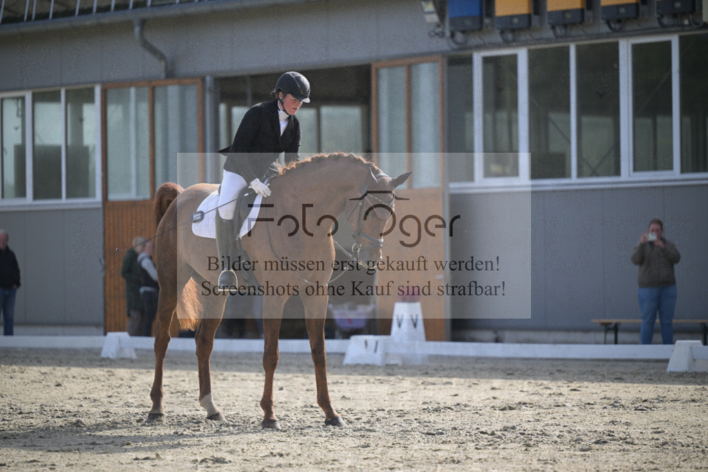 DOS_2789 | Entdecke hochwertige Reitturnierfotos von Foto Oger. Professionell, emotional und authentisch – jetzt Lieblingsmomente im Shop bestellen.Deutschlandweite Turnierfotografie. - Realisiert mit Pictrs.com