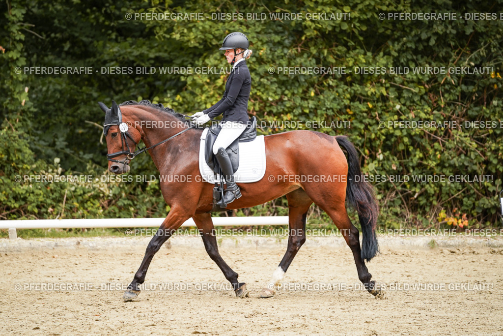 DSC00365 | Pferdegrafie