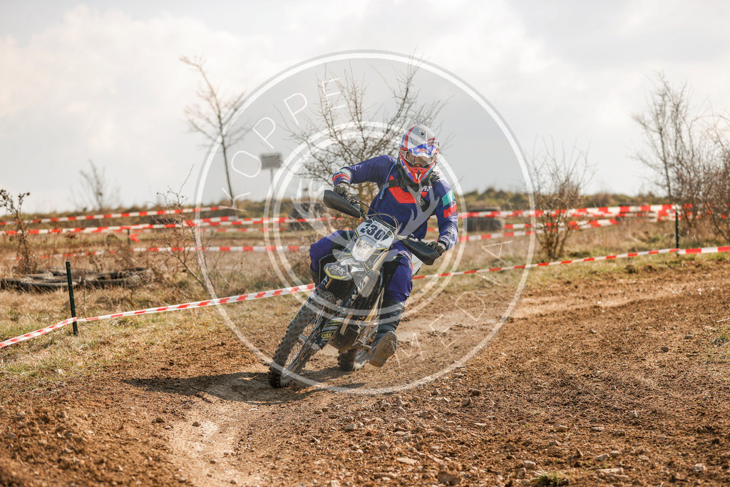 IGE-Lauf5-640 | koppe-media - Realisiert mit Pictrs.com