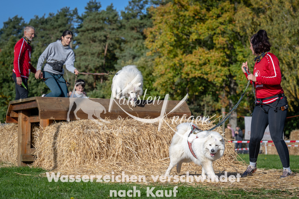 1051_ZZ91818 | kk-dogfotos