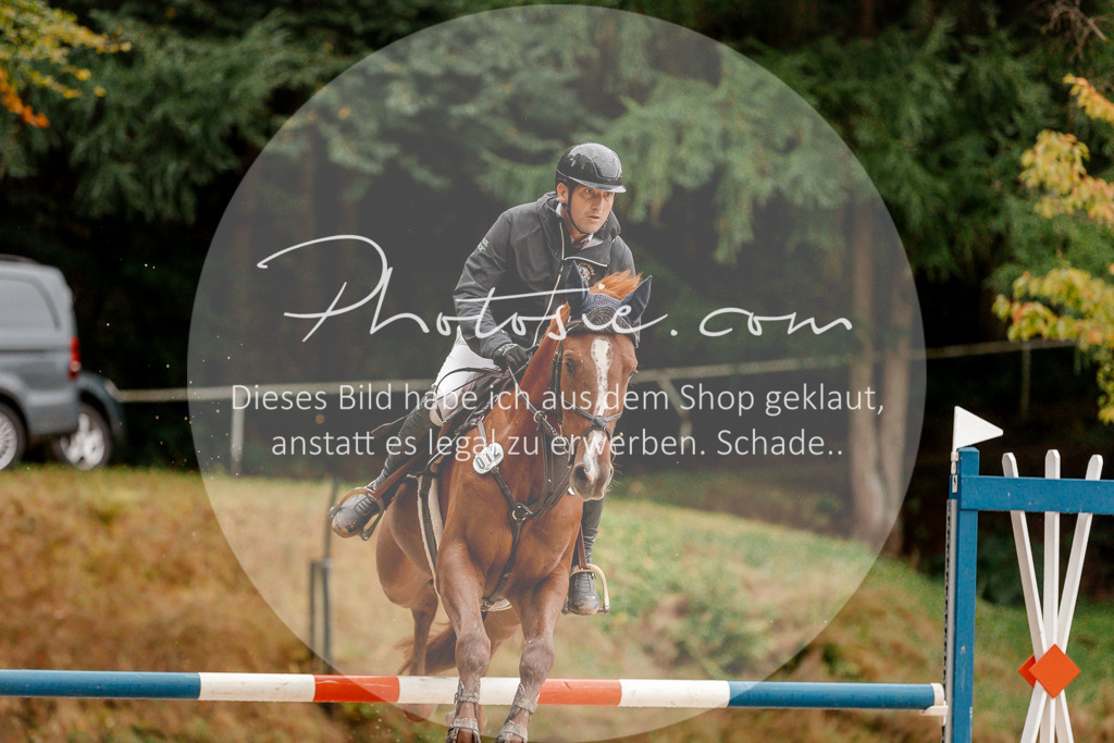 3I6A5488 | Stimmungsvolle Portraits und Reitsportfotografie im Ruhrgebiet und im Münsterland.

Pferdefotografie, Hundefotografie, Tierfotografie, Reportagen, Portraits von Tier und Mensch, Turnierfotografie in Bochum, Recklinghausen, Marl, Haltern am See, Dülmen.. - Realisiert mit Pictrs.com
