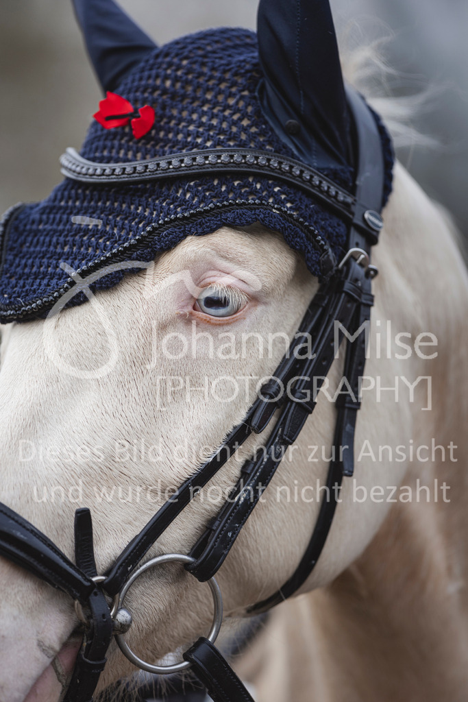 240330_Fruehlingsfest_Amateur-SprPf-A-254 | Deine schönsten Turniermomente als professionelle Fotos! Entdecke hochwertige Pferdesport-Fotografie im Online-Shop. Jetzt Fotos finden & bestellen!