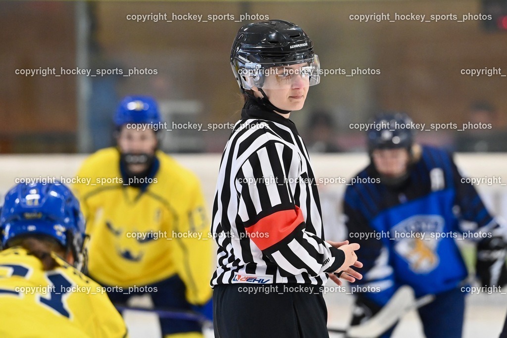 BST_5147 | hockey sports photos, Pressefotos, Sportfotos, hockey247, win 2day icehockeyleague, Handball Austria, Floorball Austria, ÖVV, Kärntner Eishockeyverband, KEHV, KFV, Kärntner Fussballverband, Österreichischer Volleyballverband, Alps Hockey League, ÖFB, 