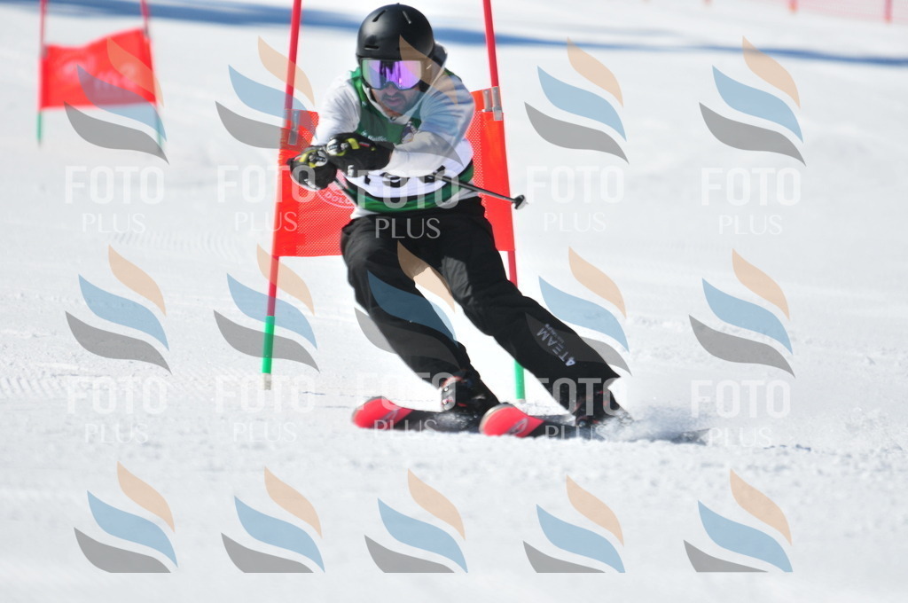 C4435 | holidayphoto