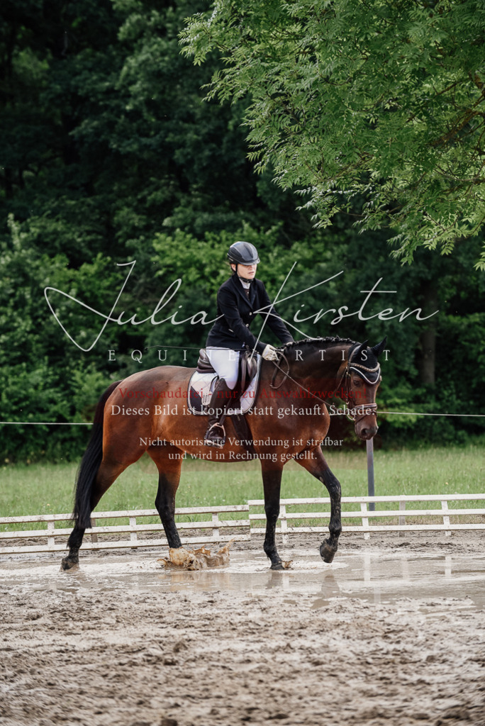 DSC_0735 | Pferde- und Turnierfotografie in Westsachsen. Pferdeportraits, Auftragszeichnungen und intuitive Kunst.
