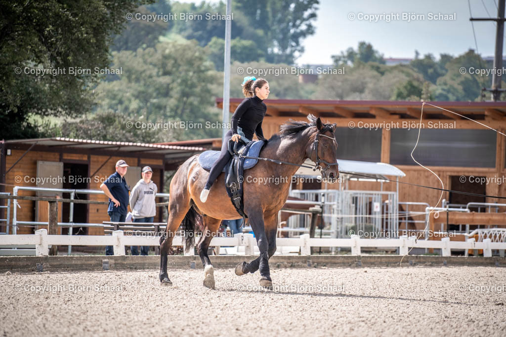 KBB09764 | BS-foto