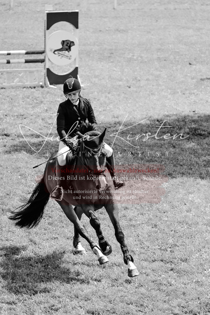DSC_9525 | Pferde- und Turnierfotografie in Westsachsen. Pferdeportraits, Auftragszeichnungen und intuitive Kunst.