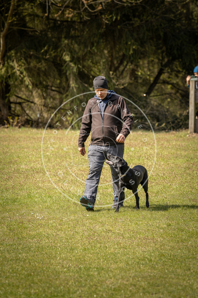 Pfotenfotografie_DV3A1244 | Hundefotografie, Tierfotograf, Pfotenfotografie, Fotoshooting Hund, Hunde Portrait, Hundesport, Hundeportraits, Heideshooting, Hunde, Sportfotograf, Hundefotograf, Turnierhundsport, THS,  - Realisiert mit Pictrs.com