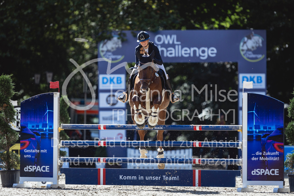 240912_OWLCh_AmateurM-446 | Deine schönsten Turniermomente als professionelle Fotos! Entdecke hochwertige Pferdesport-Fotografie im Online-Shop. Jetzt Fotos finden & bestellen!